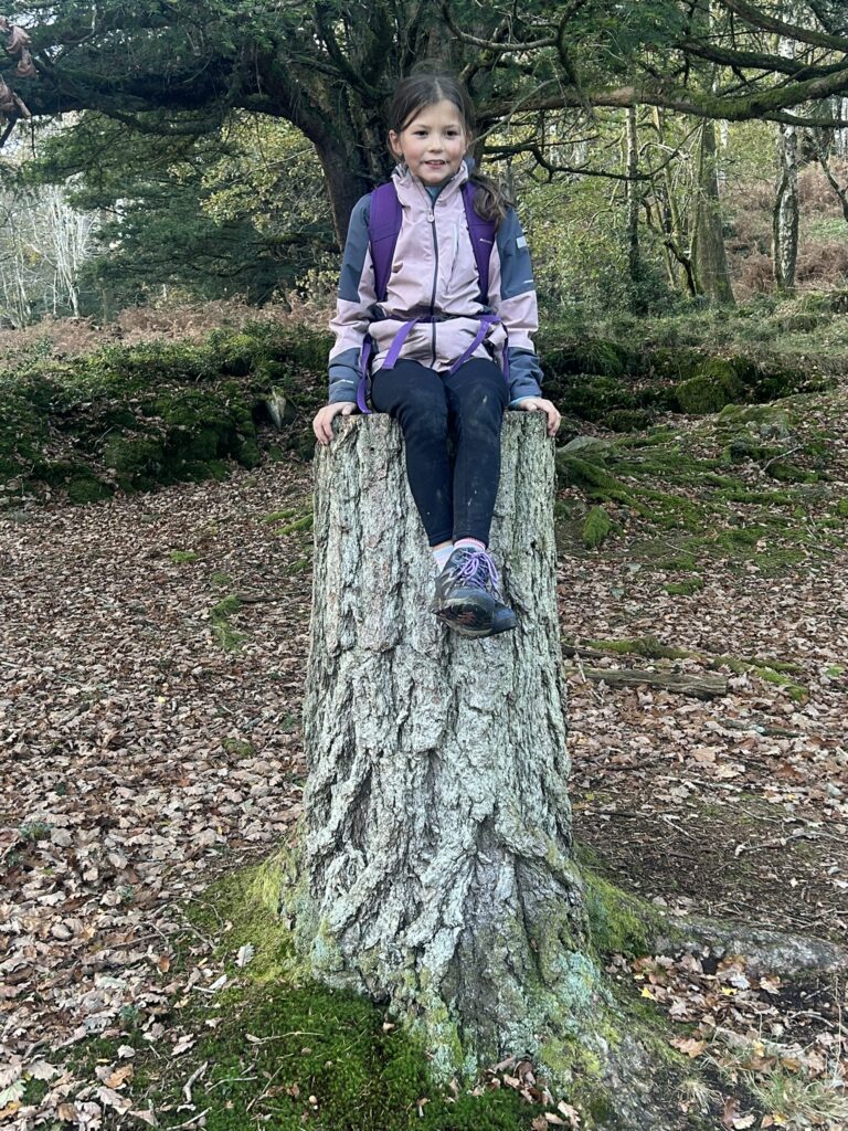 A little girl, white skin, dark long straight hair, sitting on a tree trunk in the forest