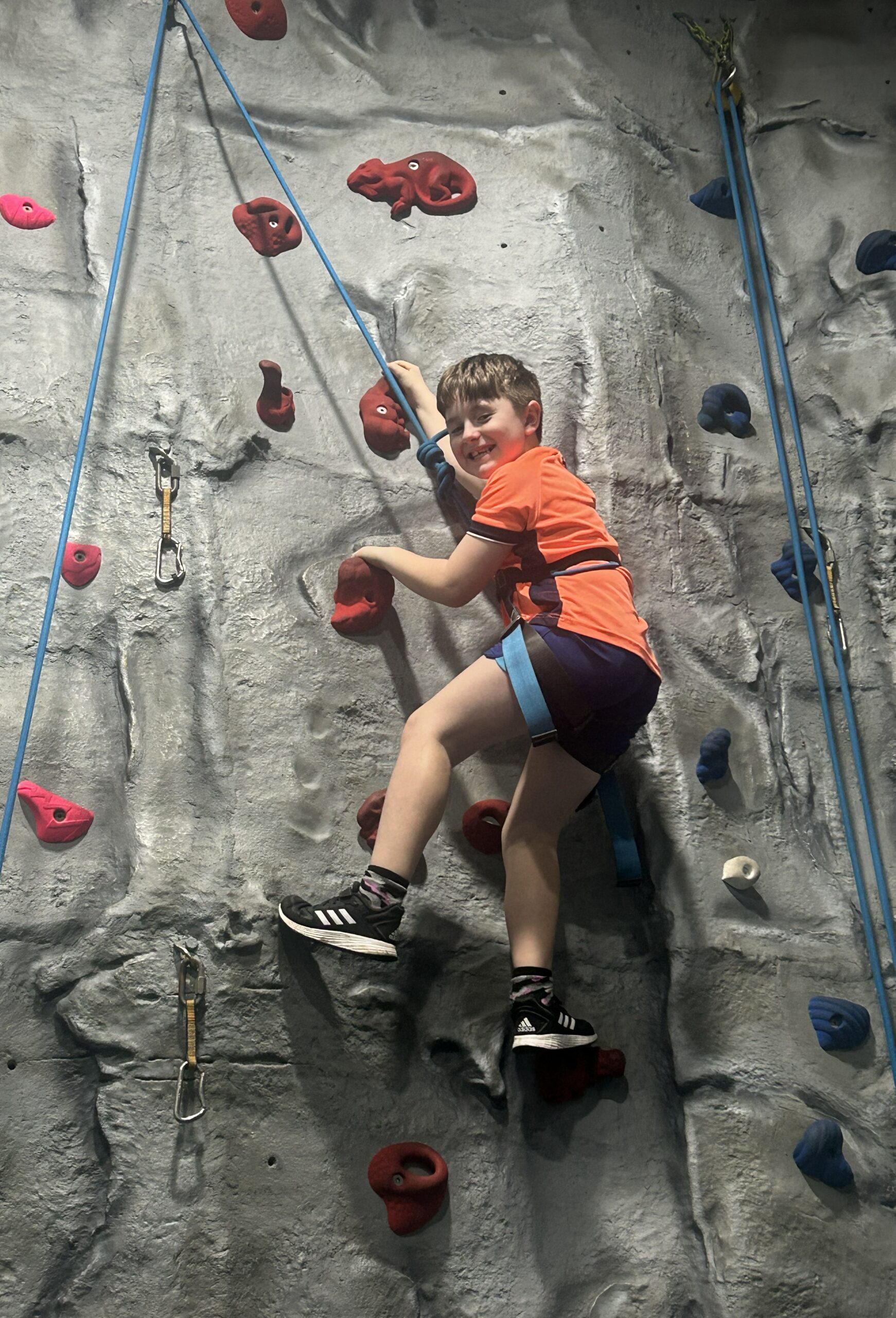 8 year old boy, blond, climbing a climbing wall.