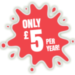 Only £5 per year