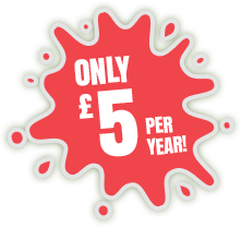 Only £5 per year