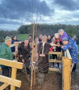 The Carlisle Youth Zone Queen's Green Canopy Tree of Trees planted at Susan's Farm